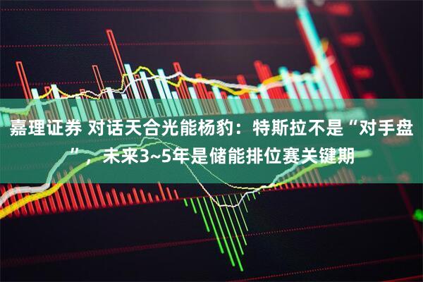 嘉理证券 对话天合光能杨豹：特斯拉不是“对手盘”，未来3~5年是储能排位赛关键期