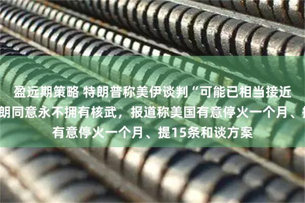 盈远期策略 特朗普称美伊谈判“可能已相当接近达成协议”、伊朗同意永不拥有核武，报道称美国有意停火一个月、提15条和谈方案